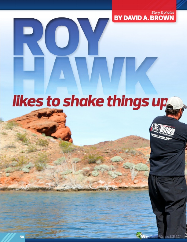 Shakey head cast and retrieve, targets and colors tips with roy hawk